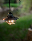 Edison Pendant Light - Antique Bronze