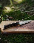 Culinary Knife 4-Piece Set